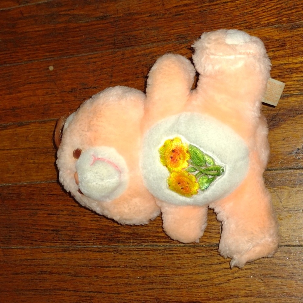 Vintage 1983 Friend Sunflower Care Bear